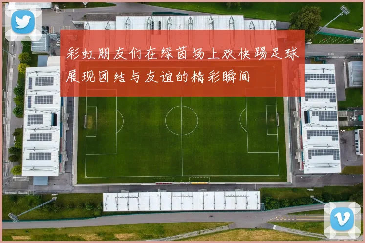 彩虹朋友们在绿茵场上欢快踢足球展现团结与友谊的精彩瞬间