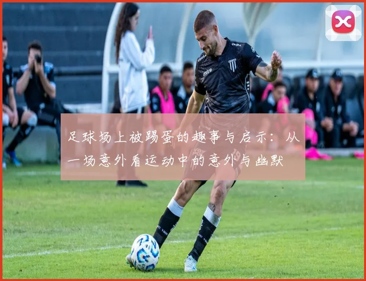 足球场上被踢蛋的趣事与启示：从一场意外看运动中的意外与幽默