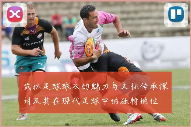 武林足球球衣的魅力与文化传承探讨及其在现代足球中的独特地位