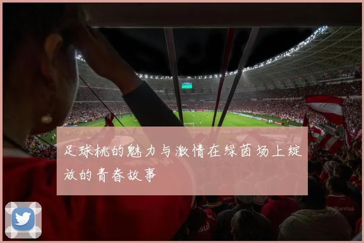 足球桃的魅力与激情在绿茵场上绽放的青春故事